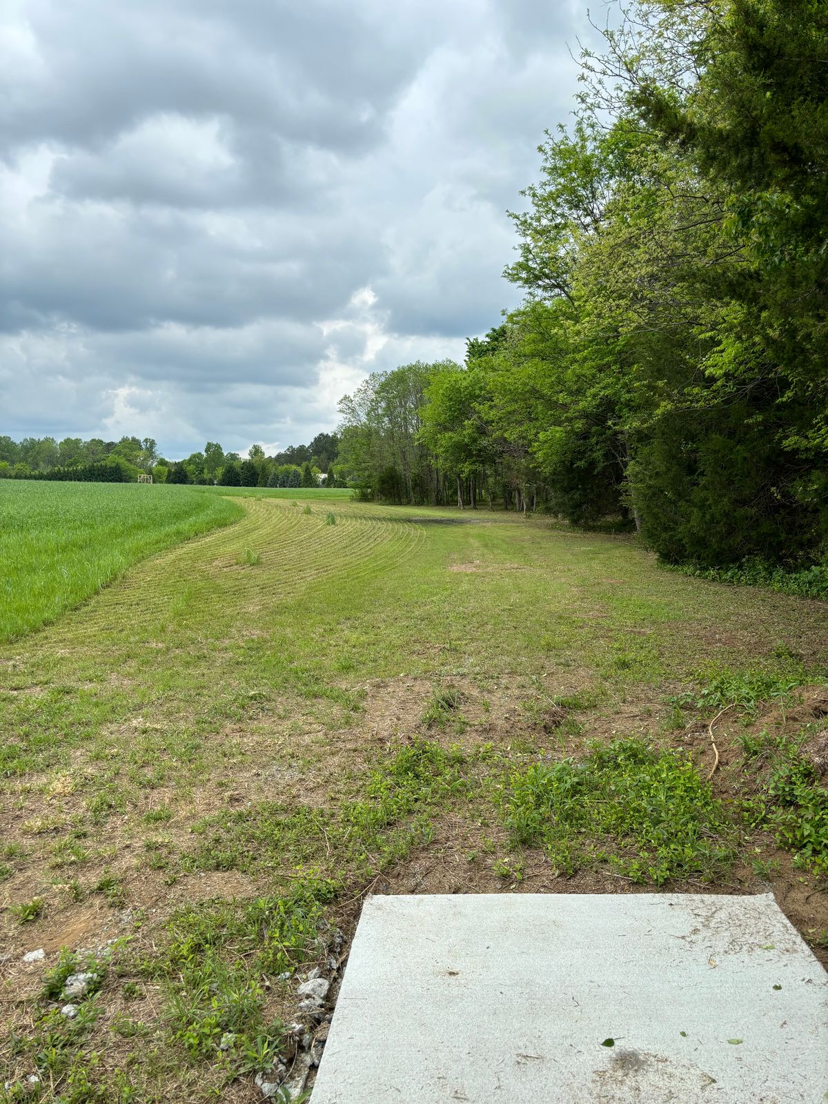 Hole 3