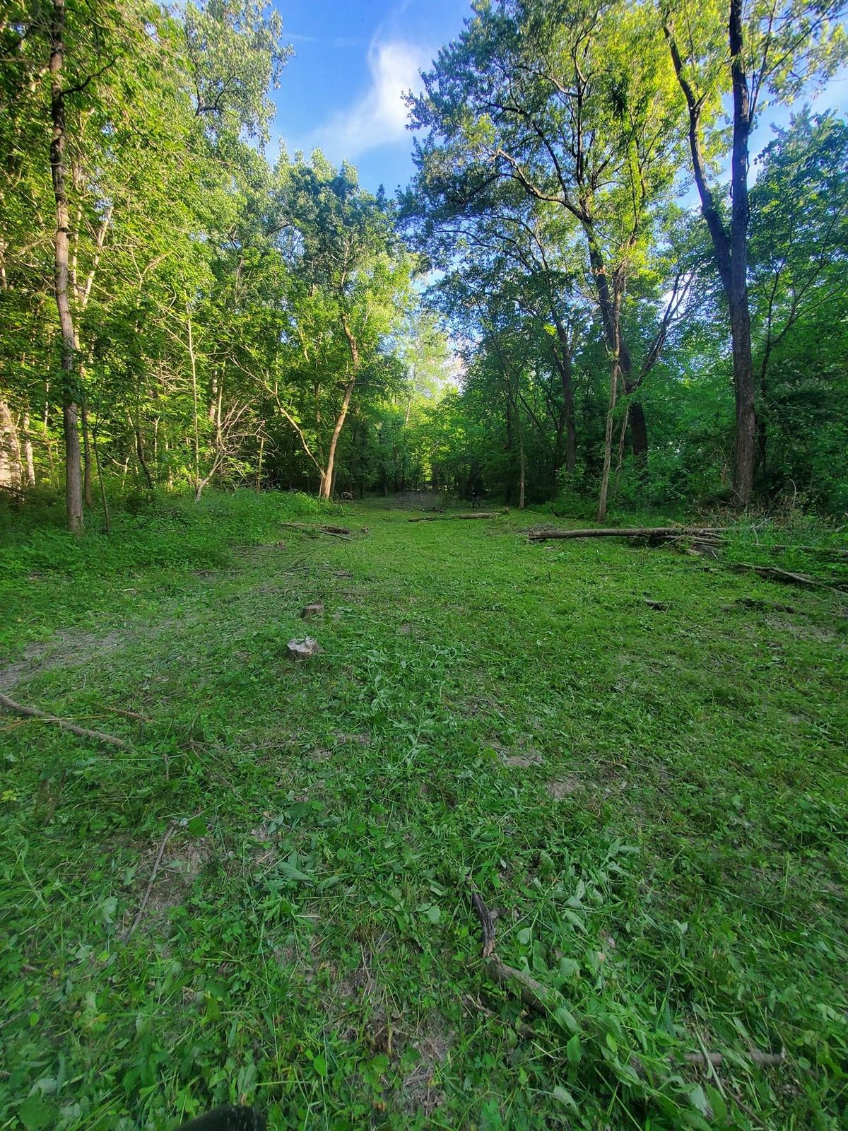 Looking back 300’ at #4 tee box