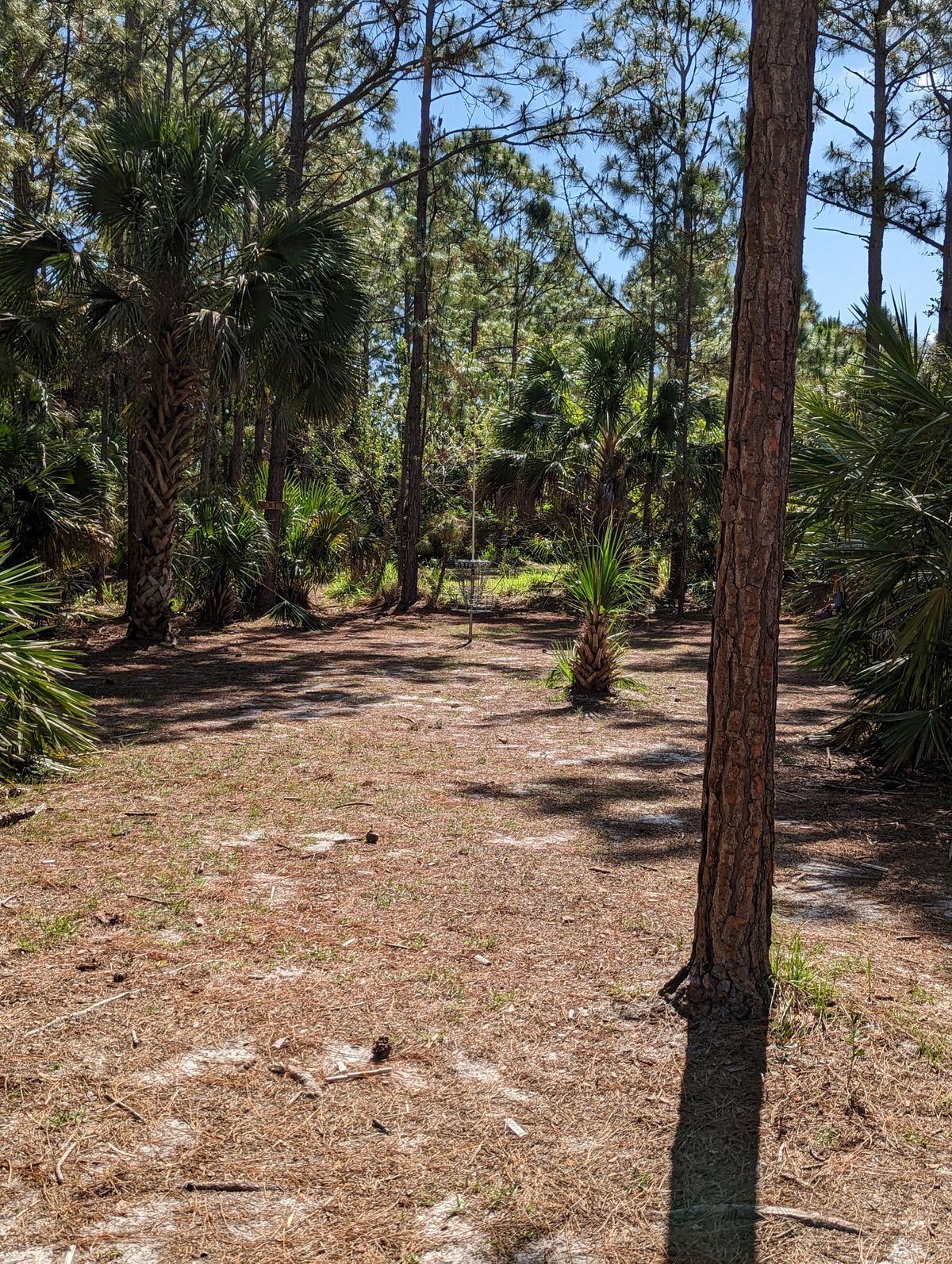 Hole 13 Basket