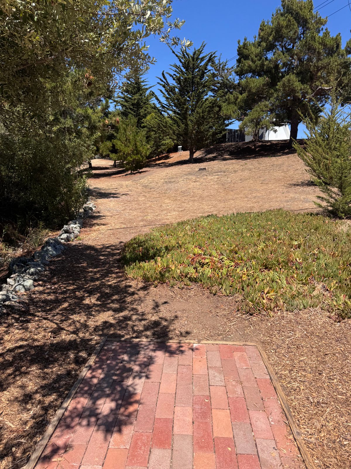 Hole 8 (8/4/25)