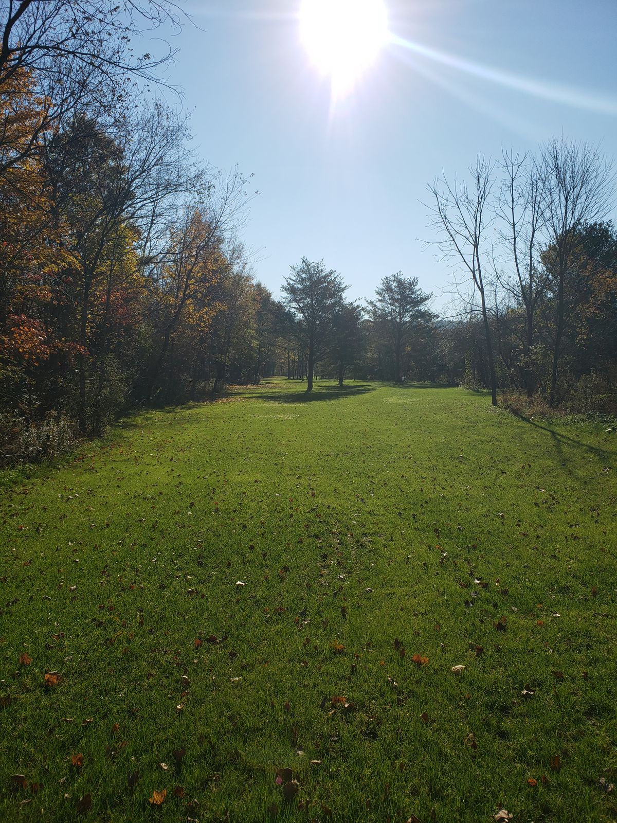 16G fairway