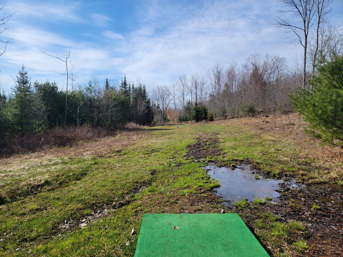 Hole 15