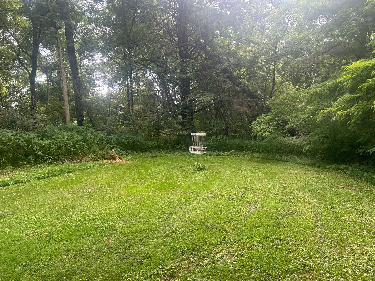 Hole 5 basket
