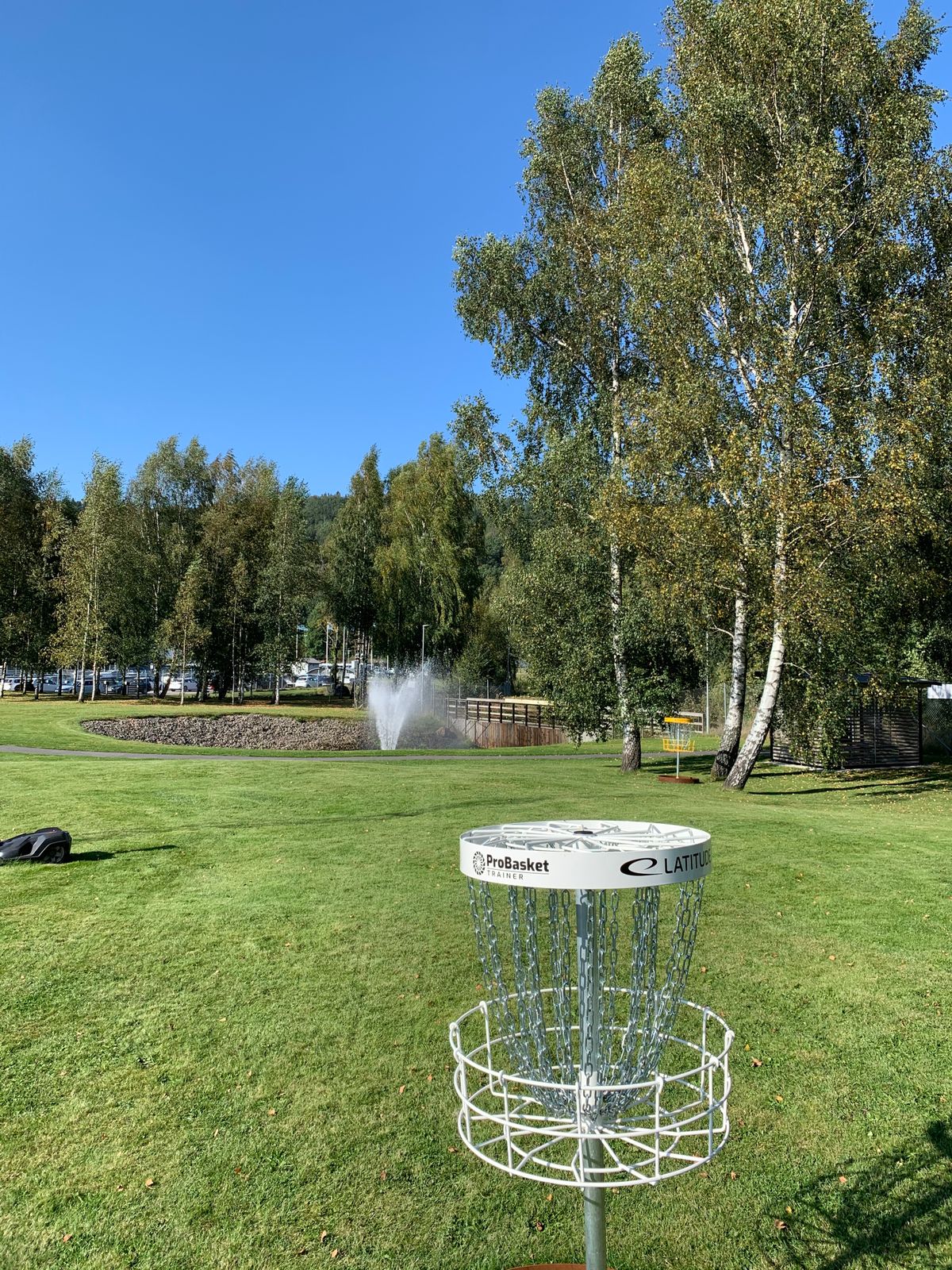 Basket in hole 5