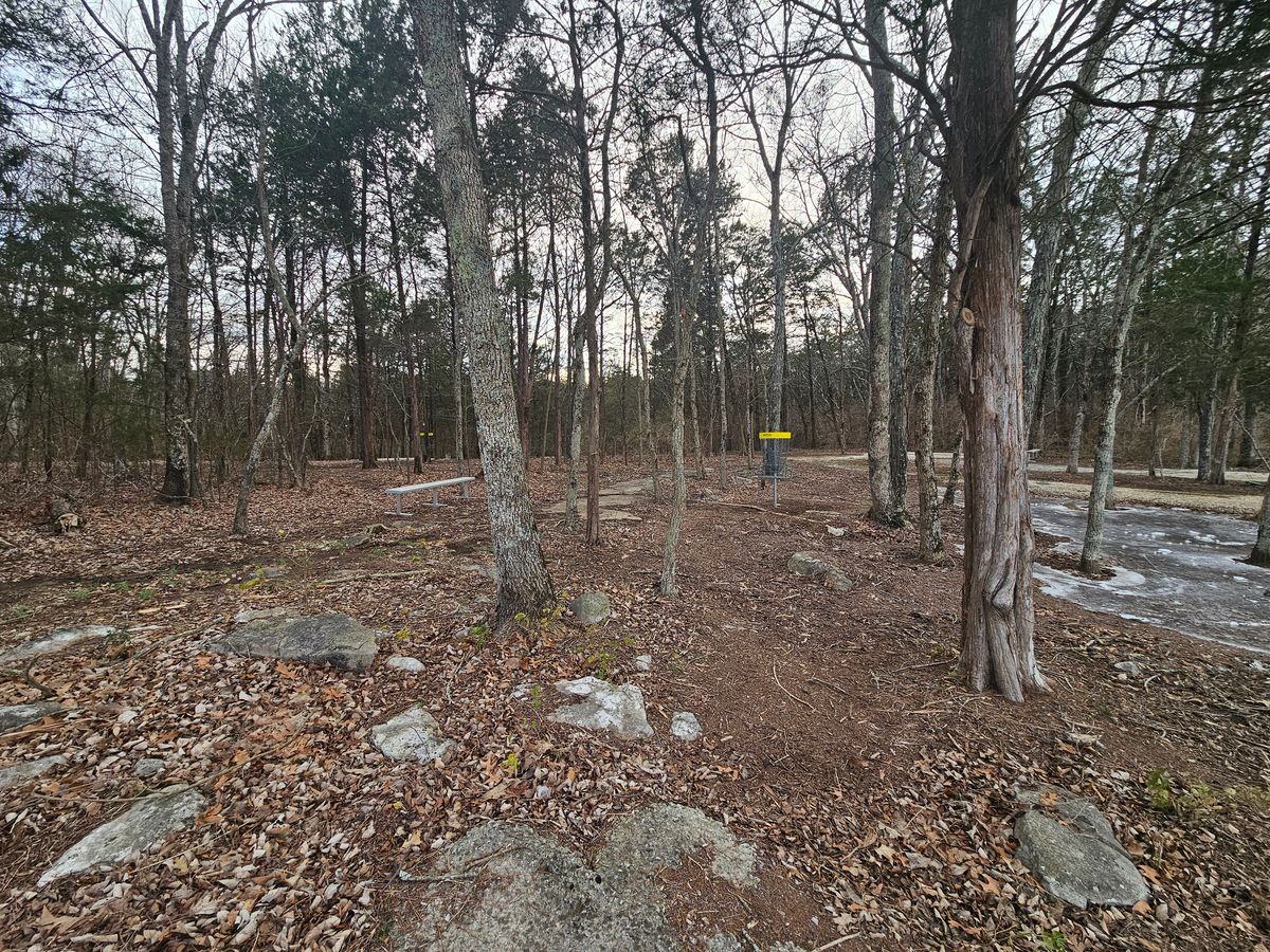 Practice basket for wooded C1 putts (reverse angle)