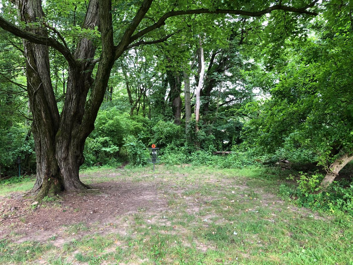 Hole 1 basket