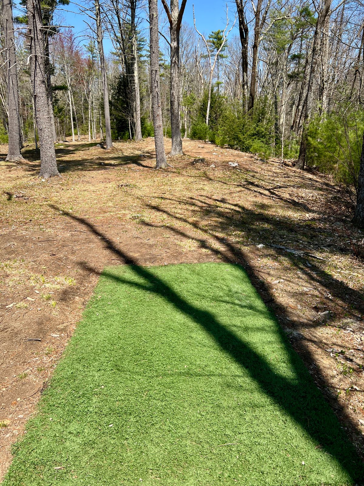 Tee Box Hole #1
