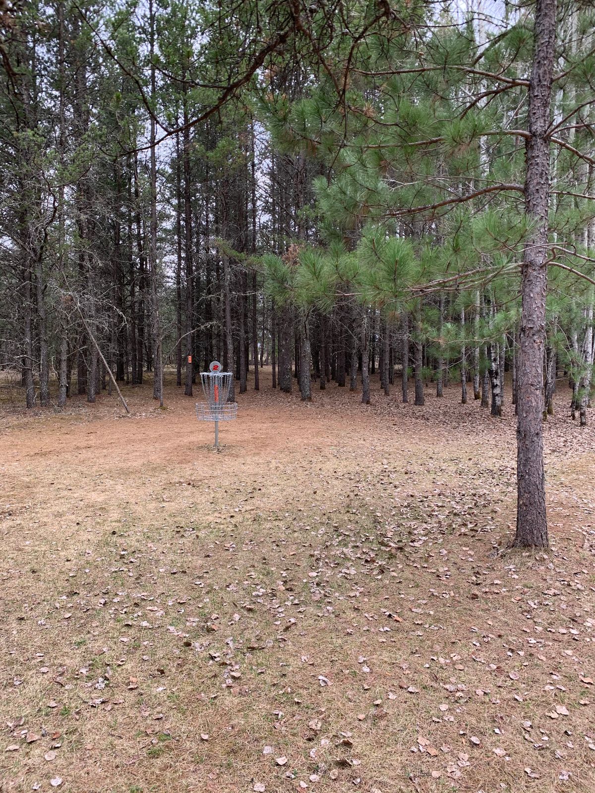 Hole 2 green