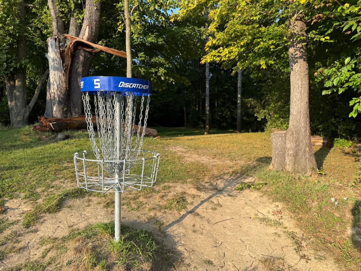 Hole 5 Basket to Tee