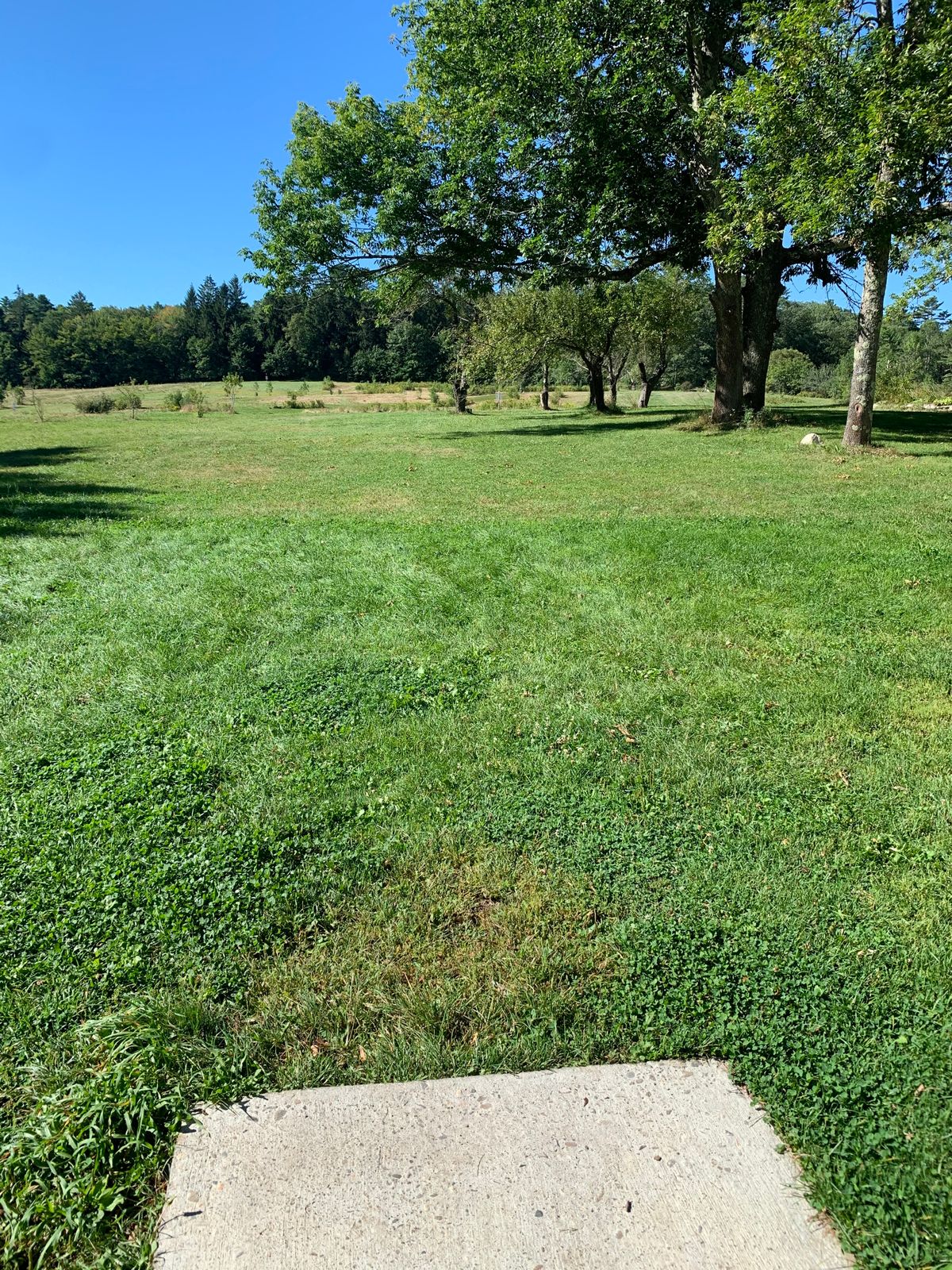 Tee shot hole 1
