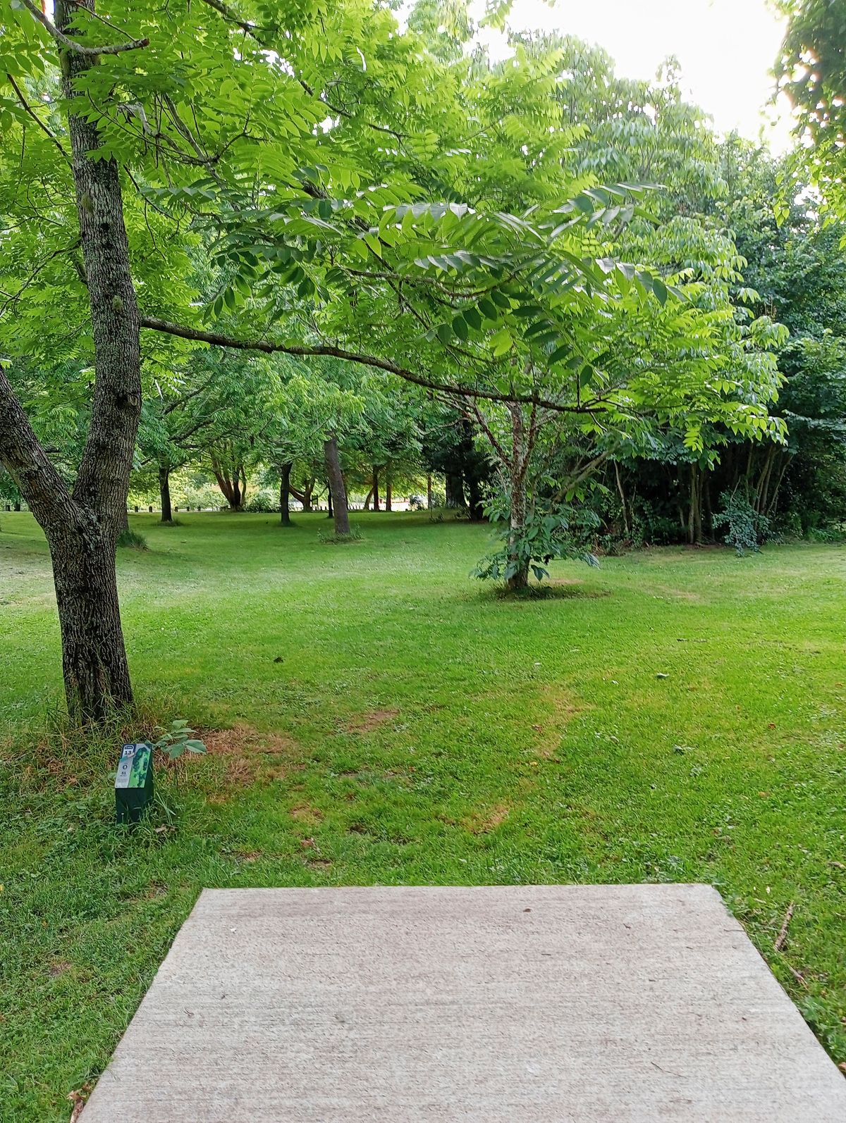 Hole 13