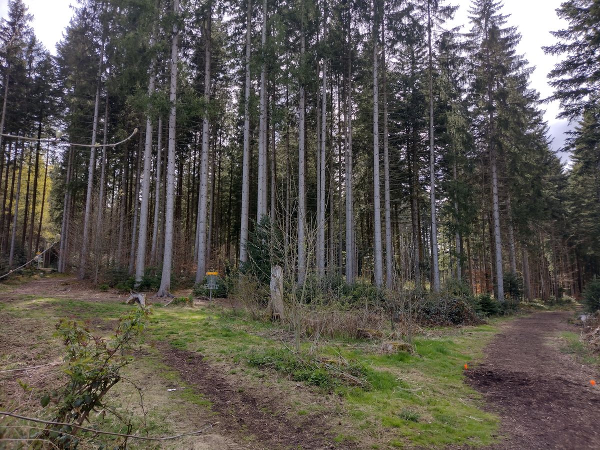 'Vierkörbeblick'