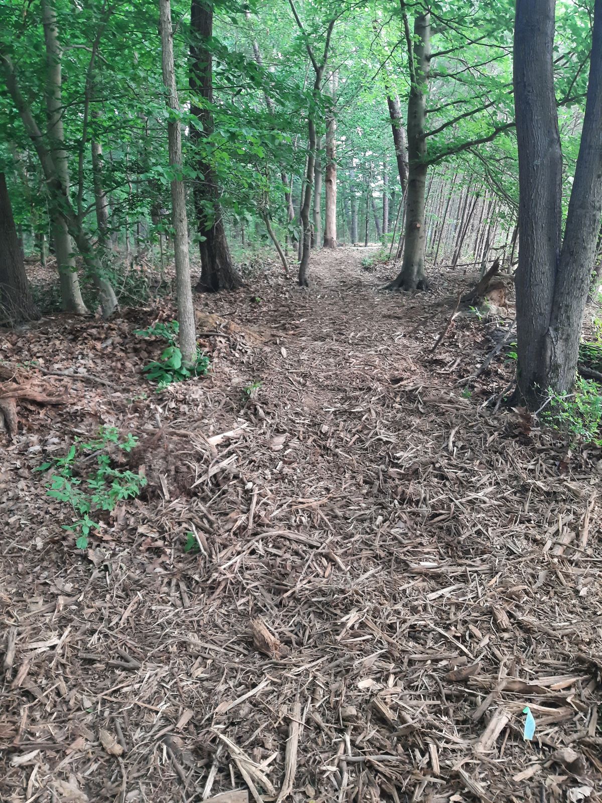 Hole 6 Tee