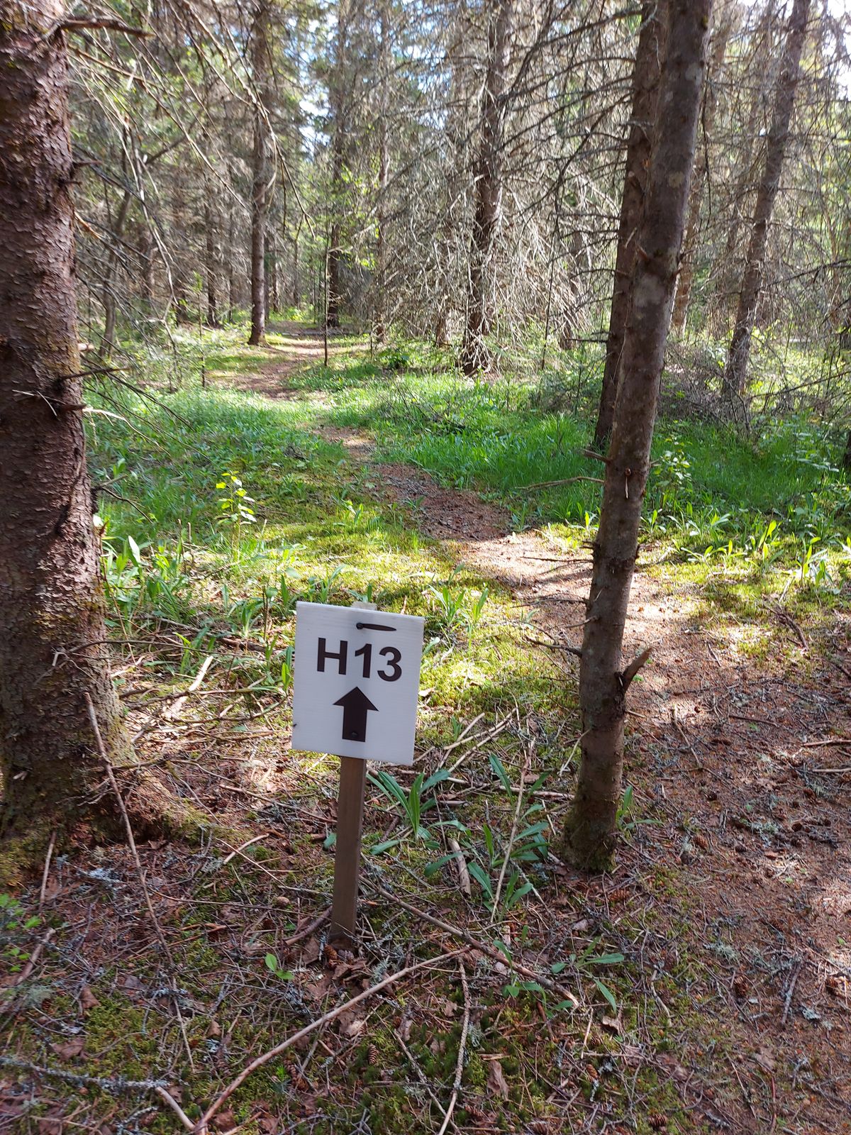 To hole 13.