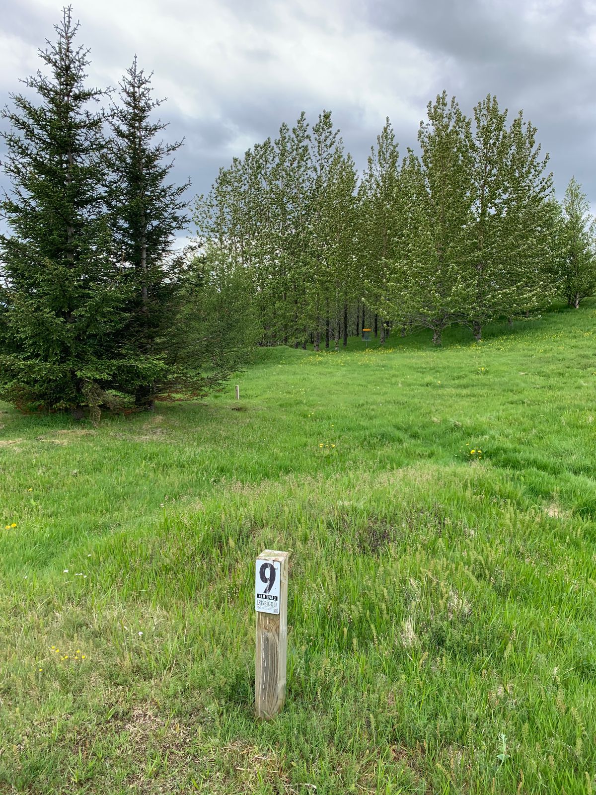 9th hole