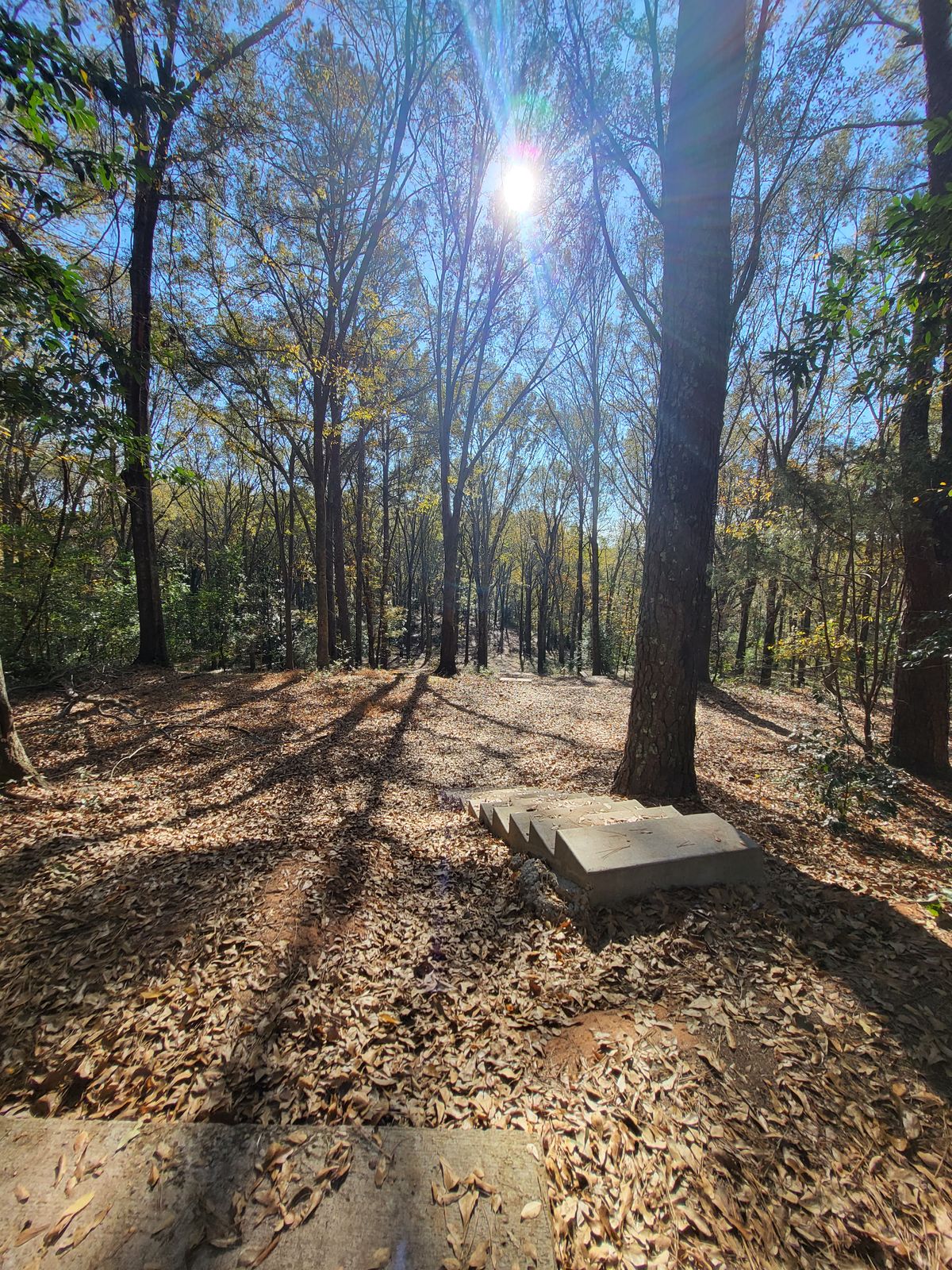 Gorgeous fall day November 2023