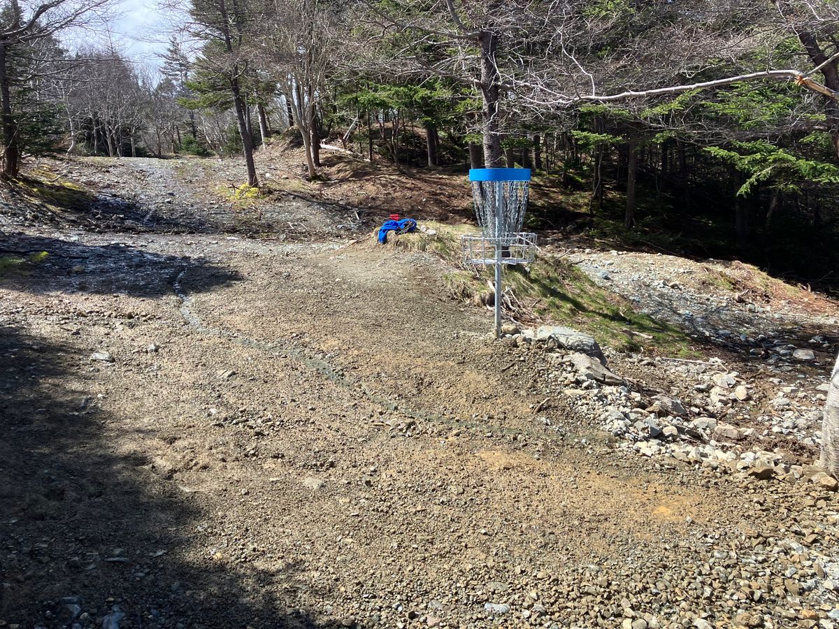 Hole 16 looking up fairway from basket