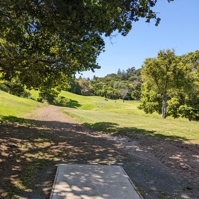 Short tee for hole 2
