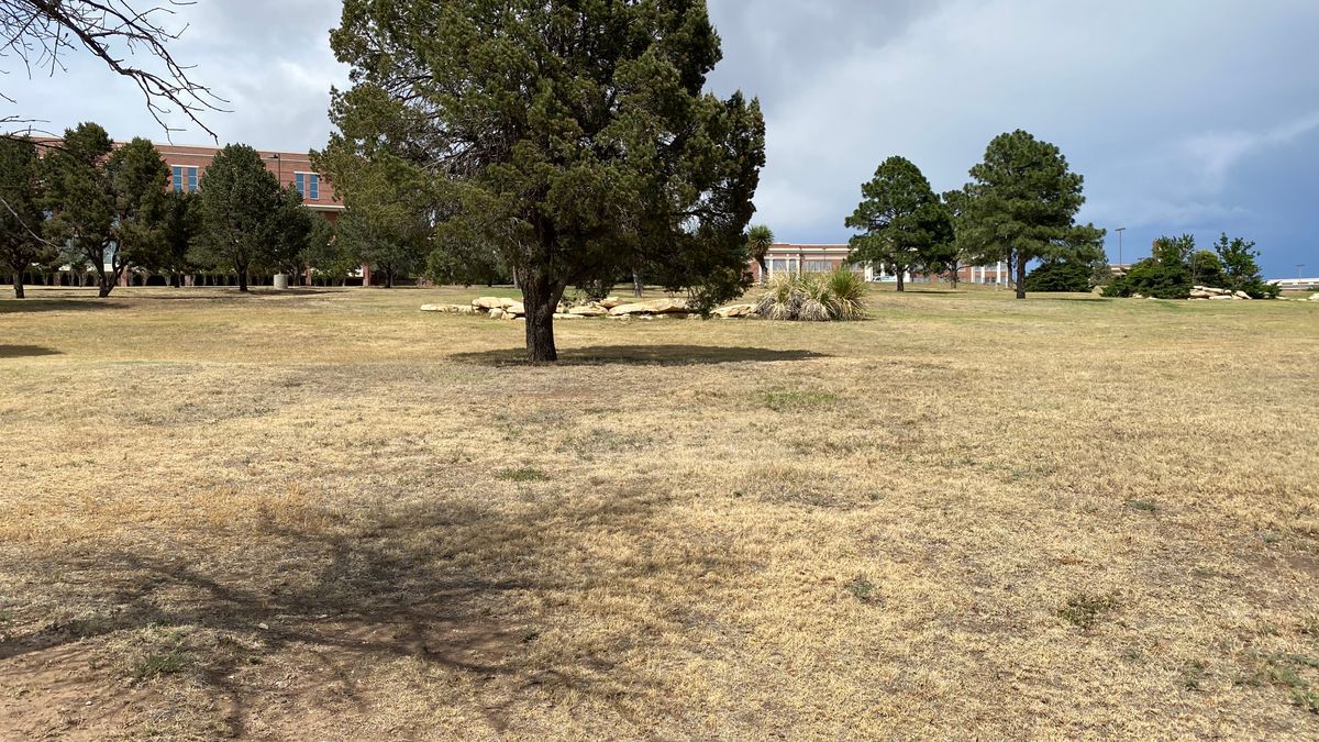 Hole 2