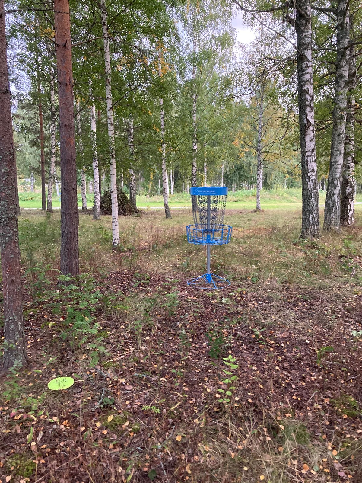 Korgplacering 1/4