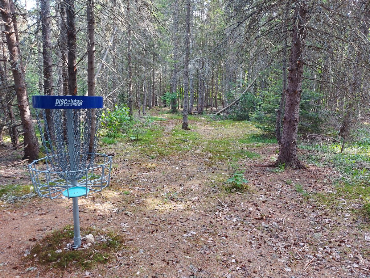 Reverse back up the fairway on hole 3. 🍁🌲🍁🌲🍁🌲
