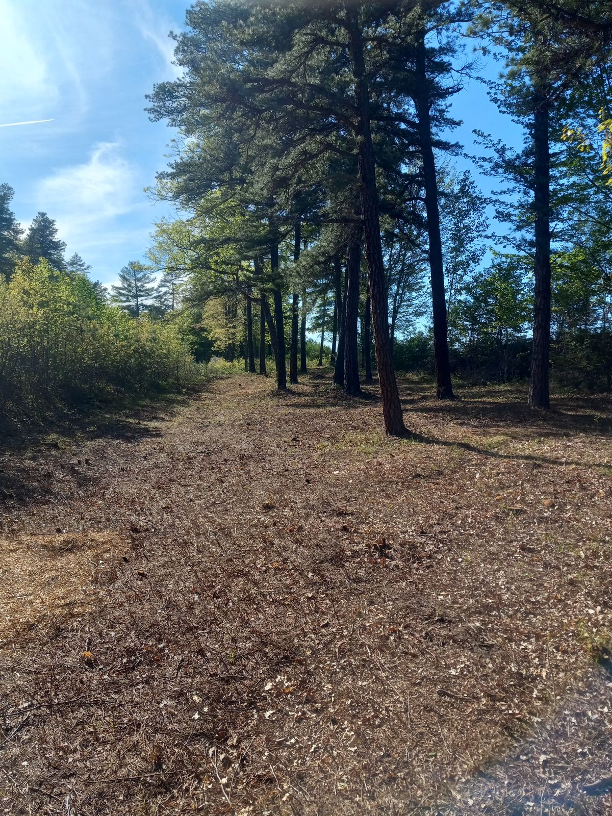 Hole 9