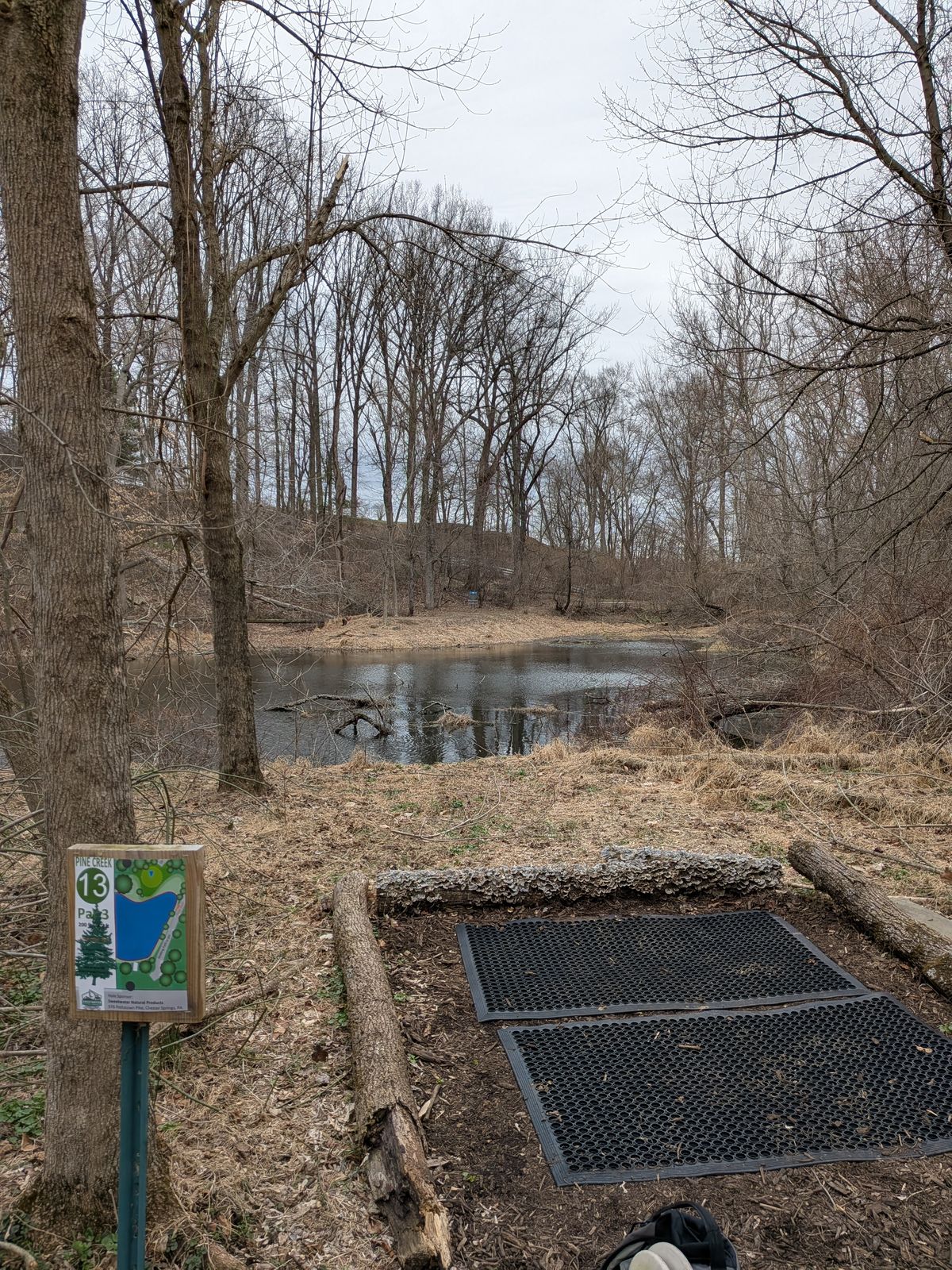 13 from the tee looking across the pond to the basket