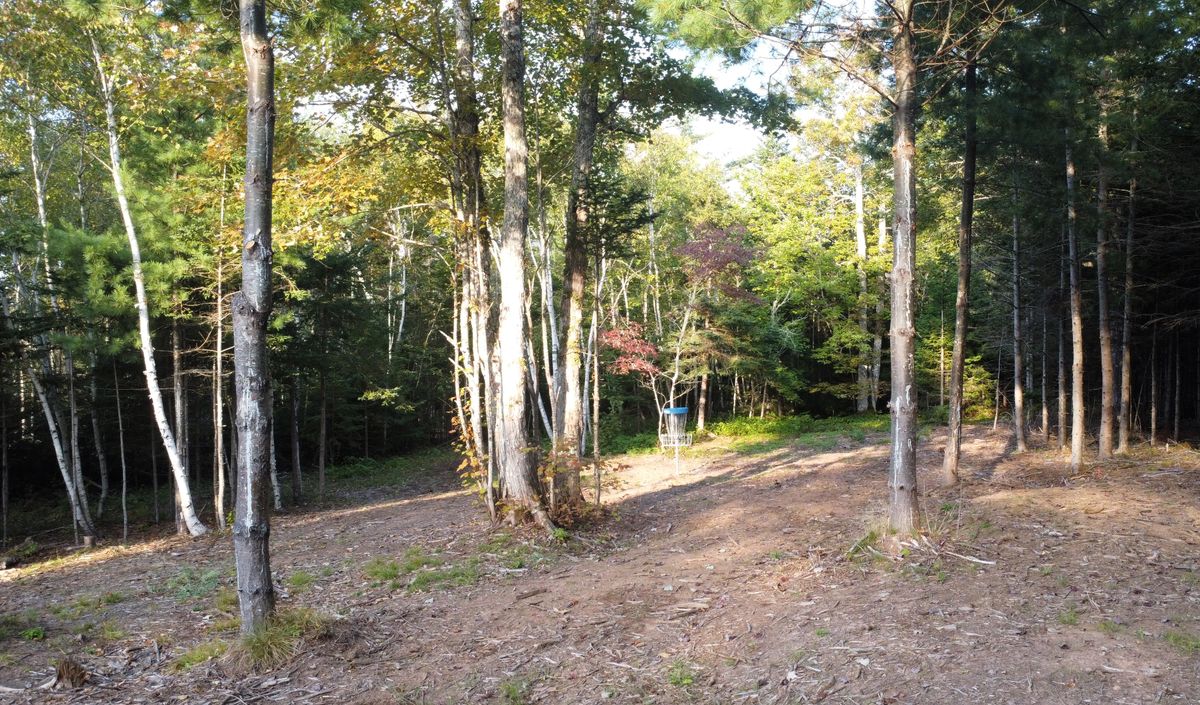 Hole 6 - green.