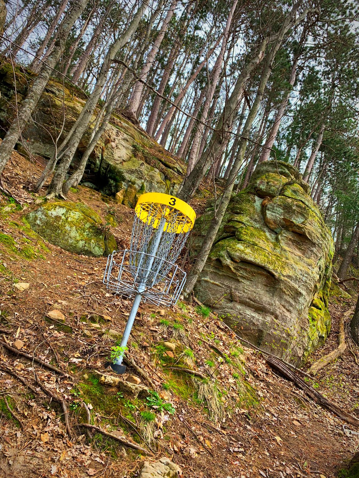 View of pin at hole 3. Very cool hole. Steep terrain by this pin.