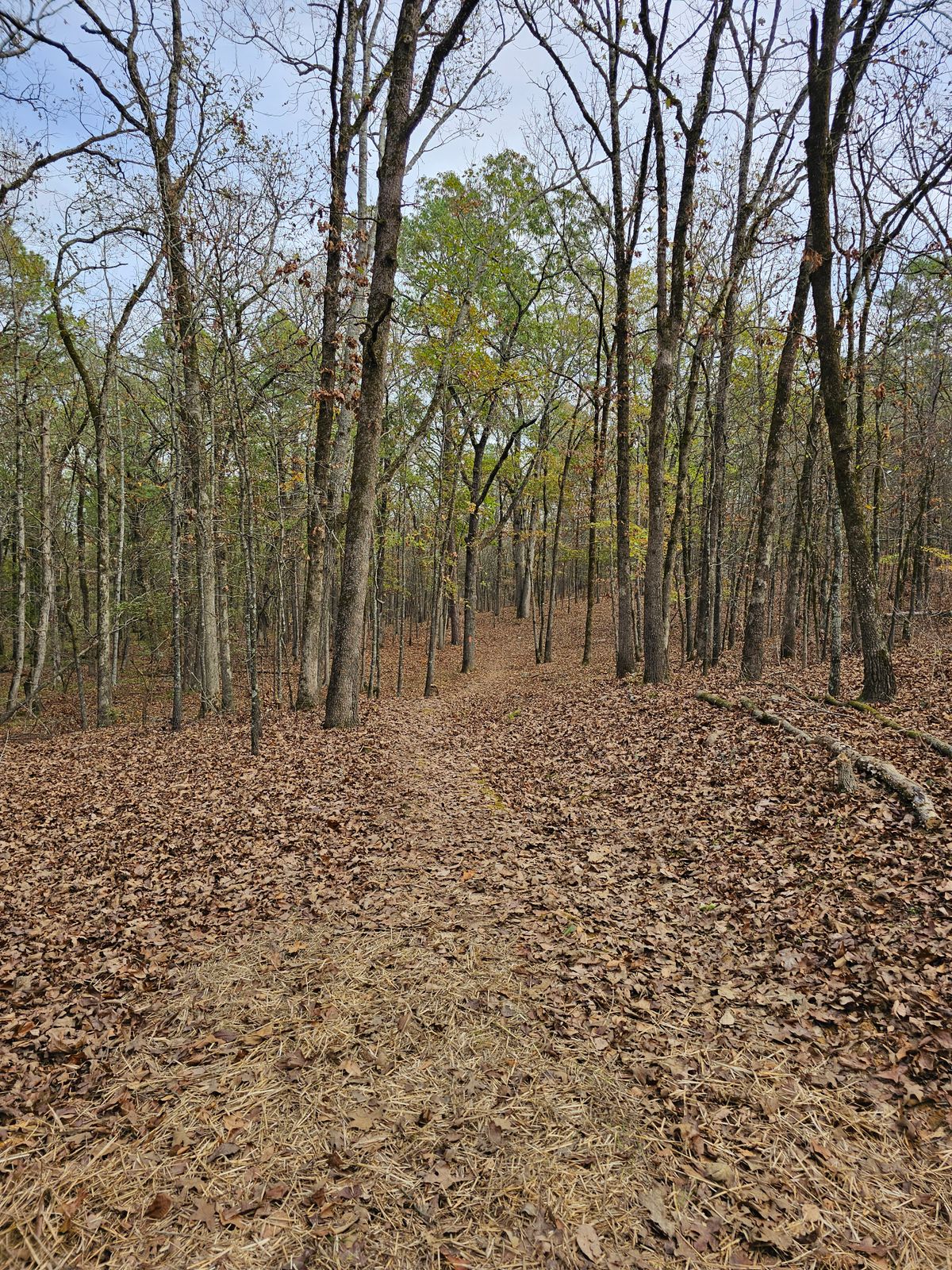 Hole 1