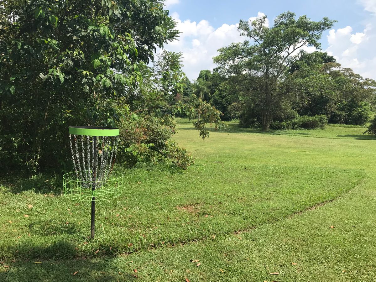 Hole 7 basket