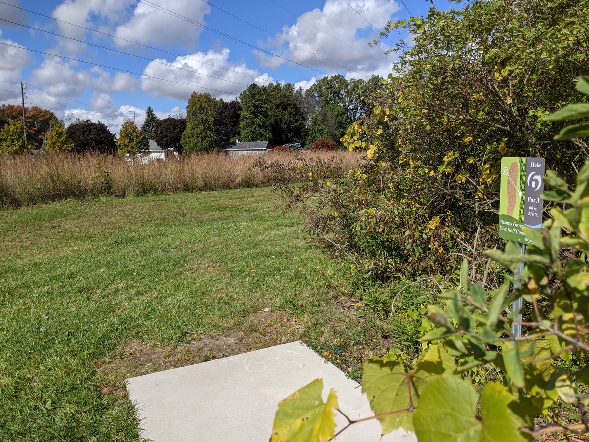 Hole 6 tee