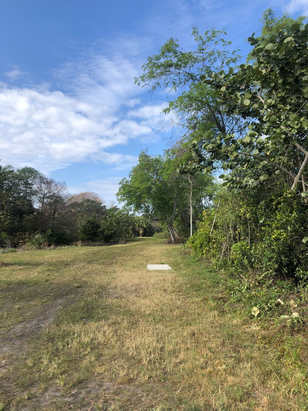 Hole 17