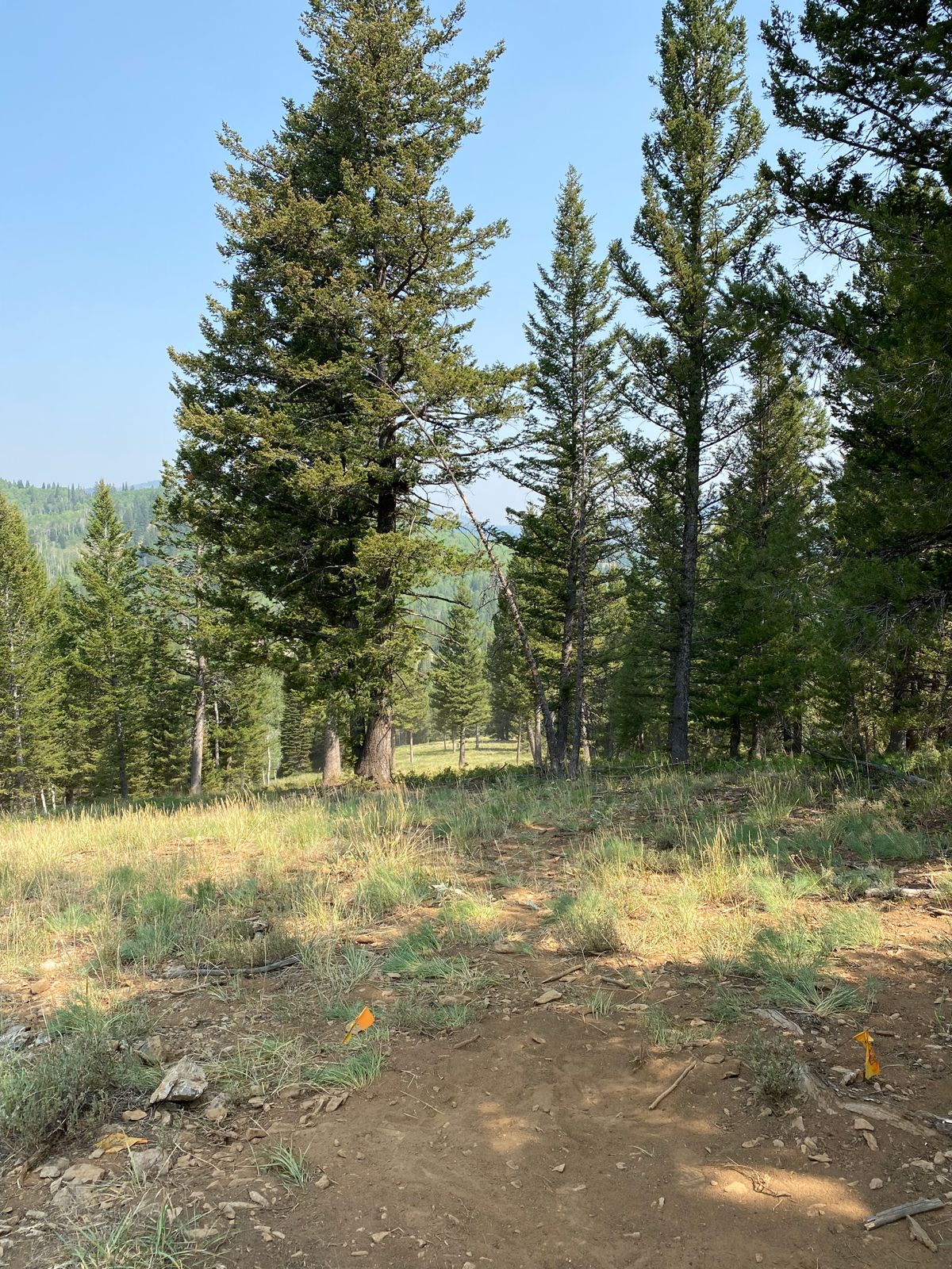 Hole 17
