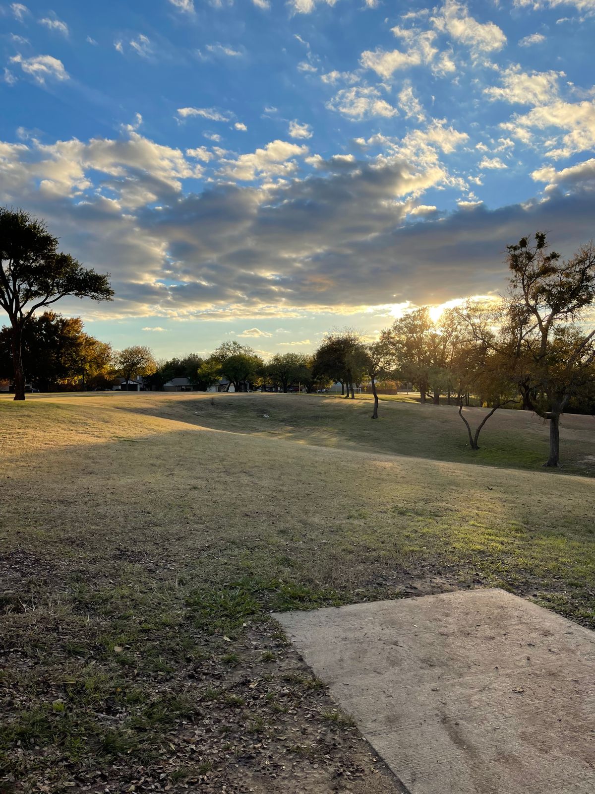 Hole 5, basket is on the side of the small hill.