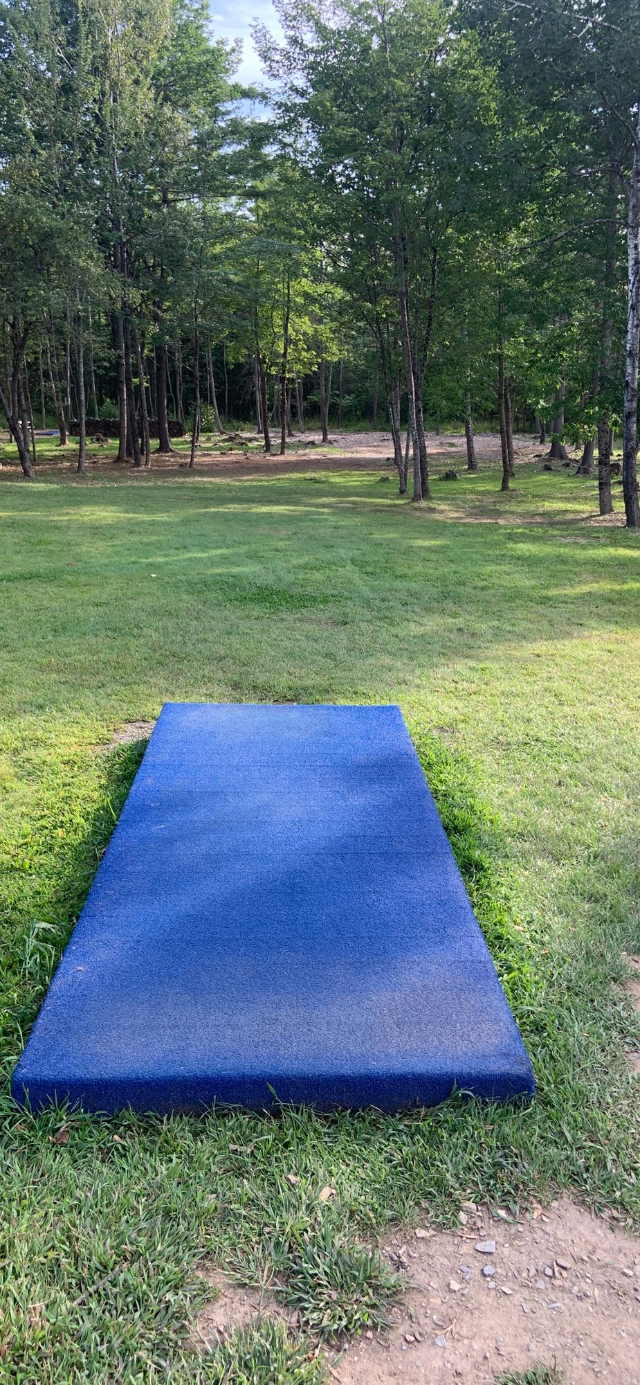 Blue turf tee pads