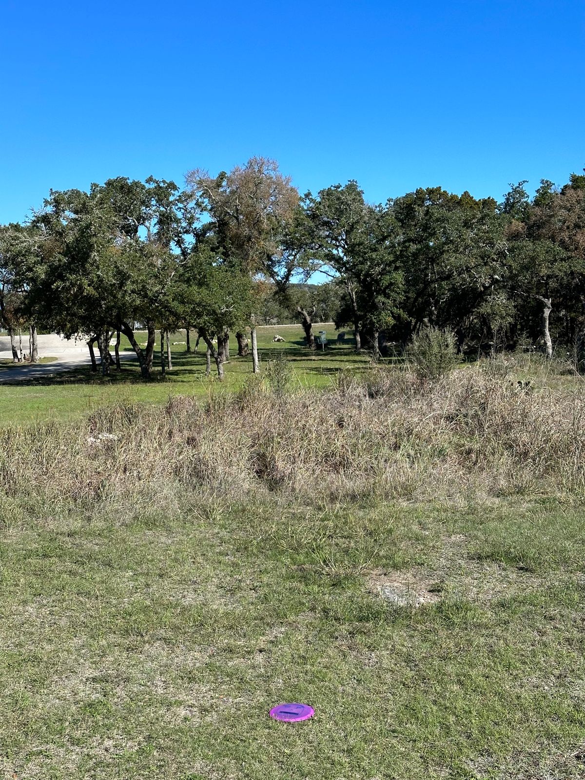 Approach shot on the par 4 17th. There are several fun par 4s in the long layout.