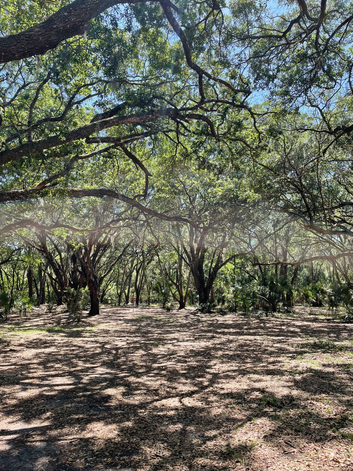 Hole 3