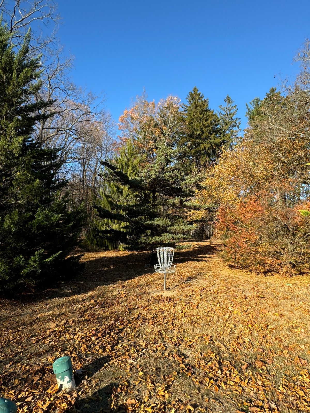 Hole 6 basket