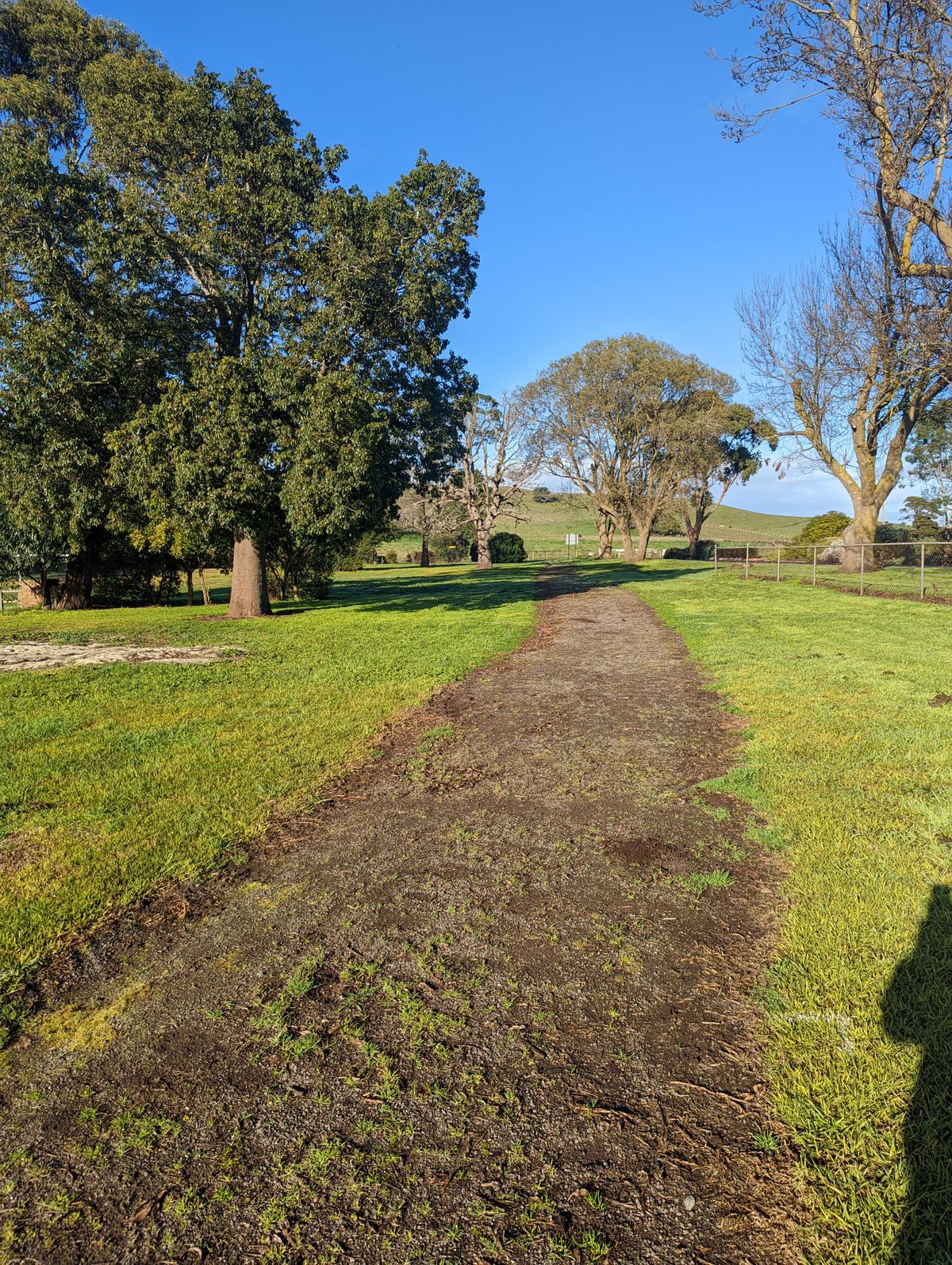 Hole 1 Teepad, basket is up on the left.