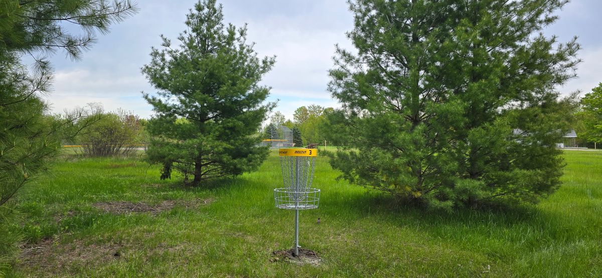 Hole 3 Basket