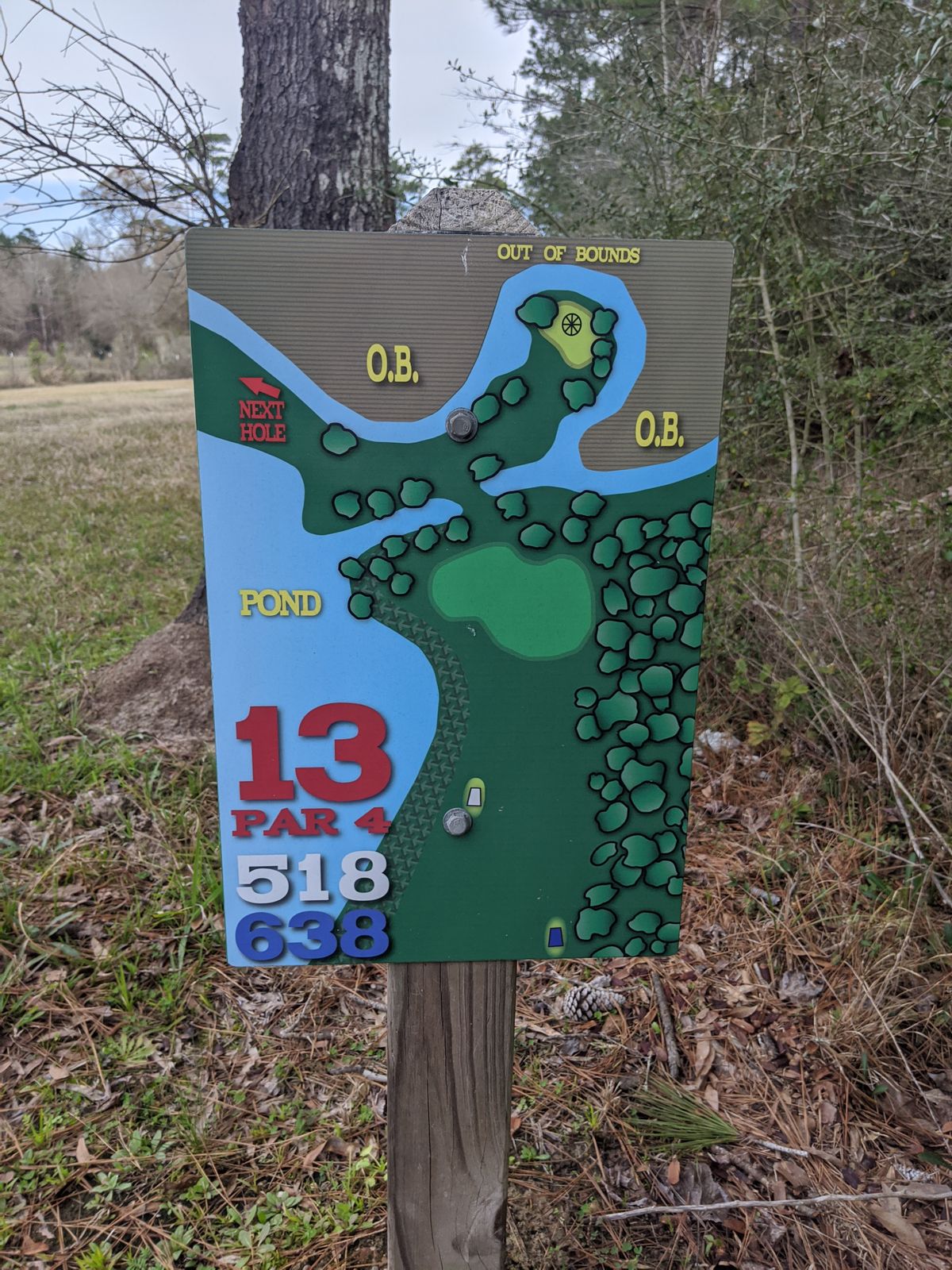 Hole 13(Discs Die Here)