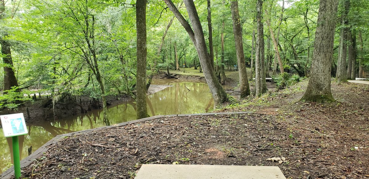 Hole 14 long teepad