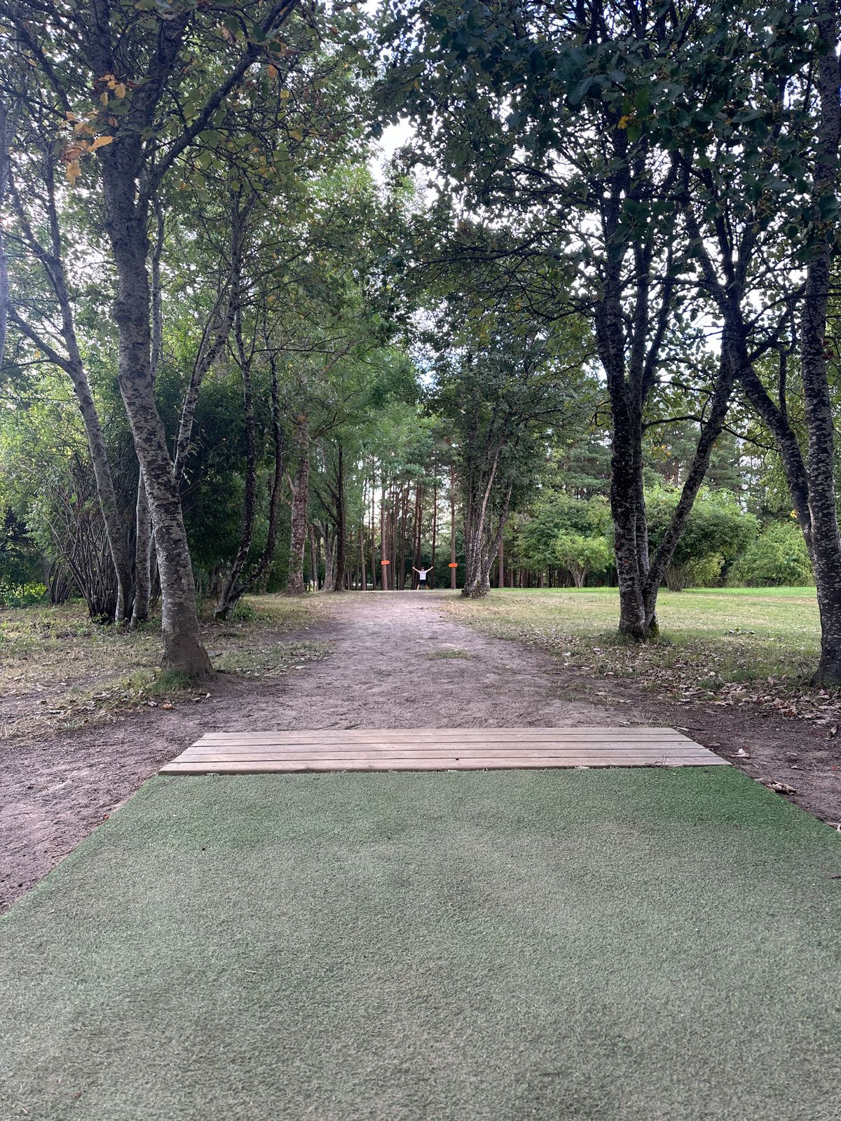 Hole 8 tee