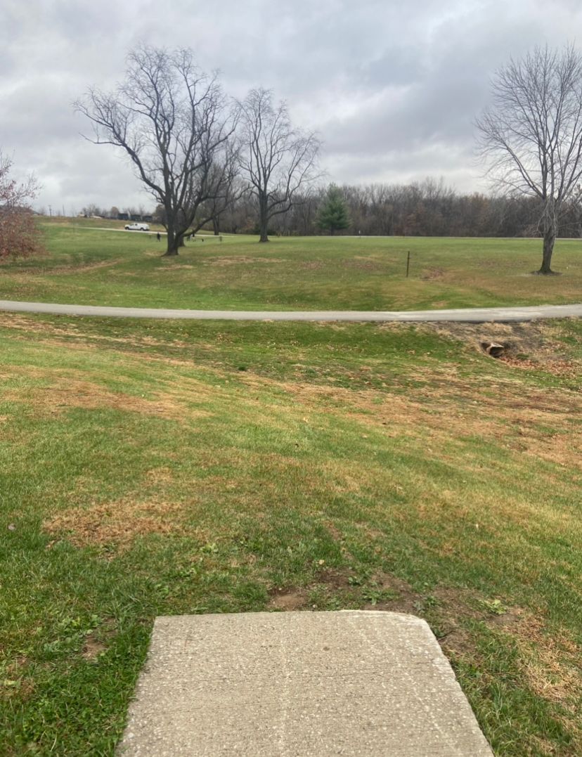 Middle range distance with some obstructing trees and crosses O.B. Road