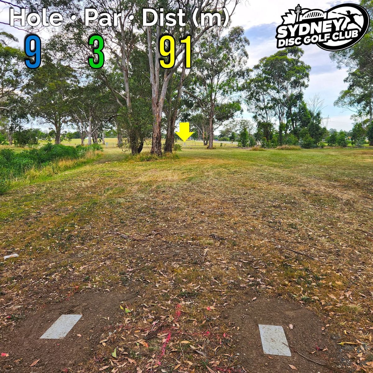 Hole 9 - Par 3 - 91 m