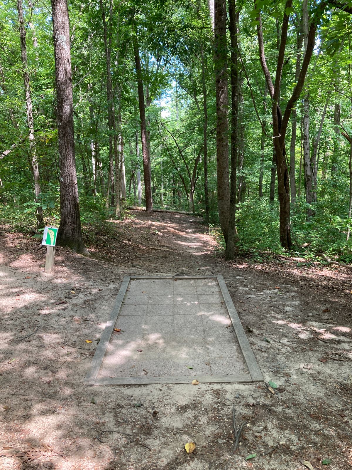 Hole 13 - elevation drop of 20-25ft - dogleg left - thick rough if you outdrive the fairway