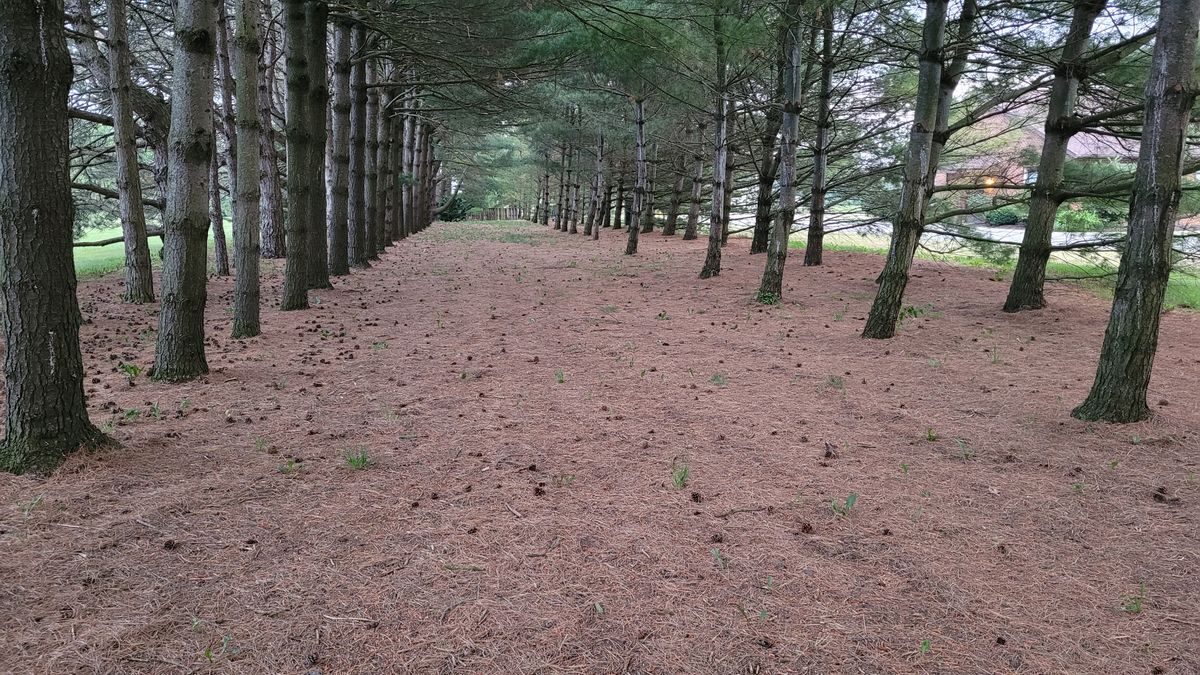 Hole 8