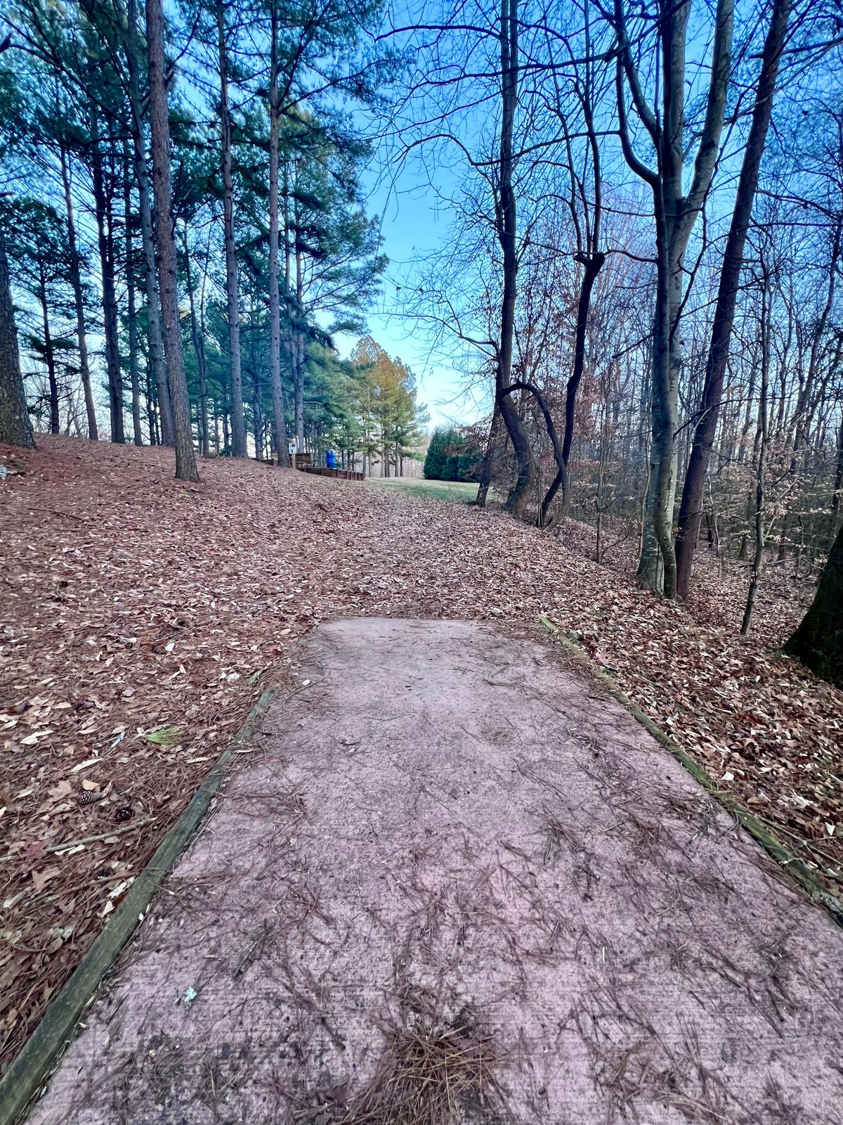 Hole 24 Gold Tee Pad/Fairway.