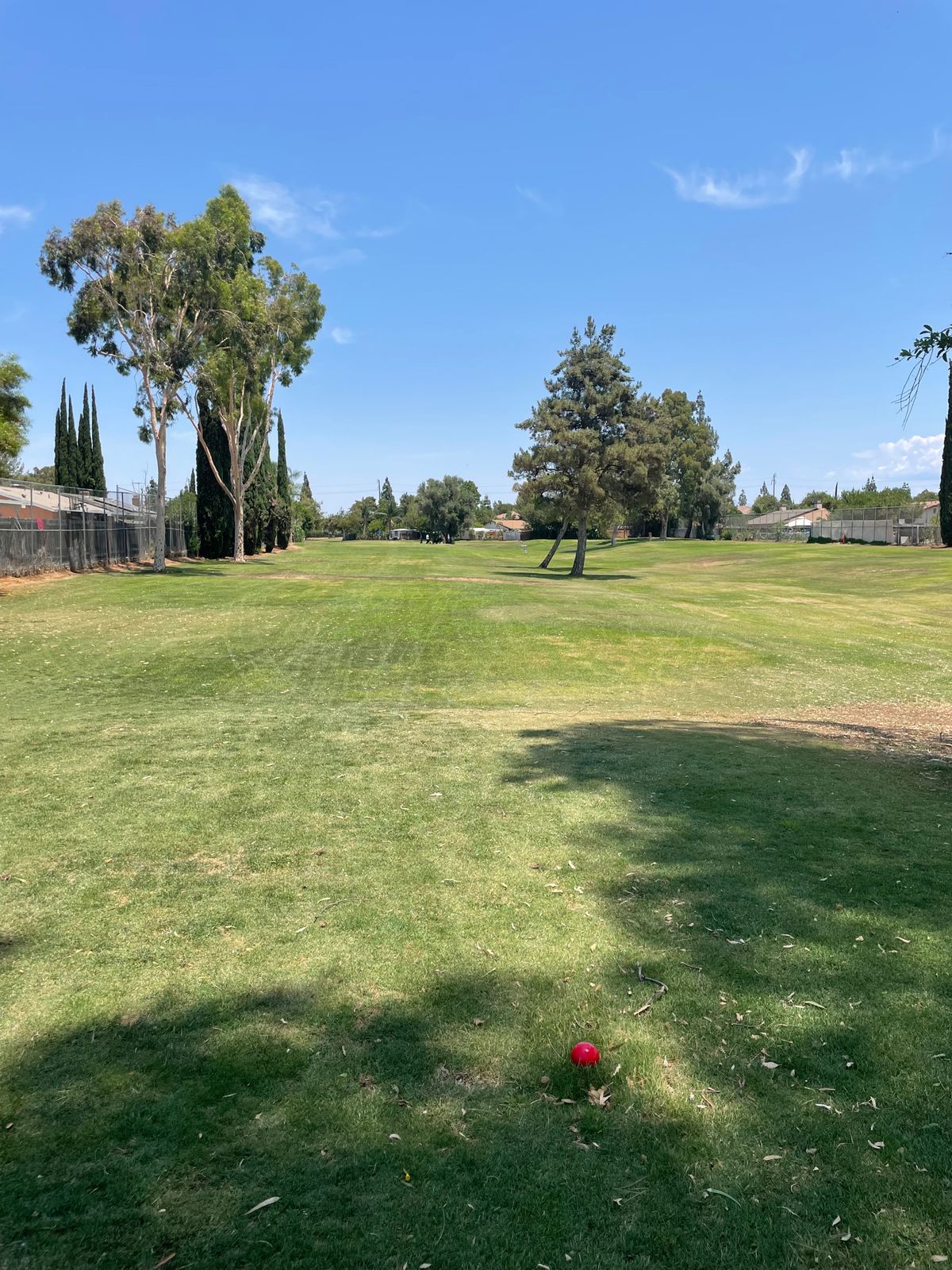 Hole 6 tee
